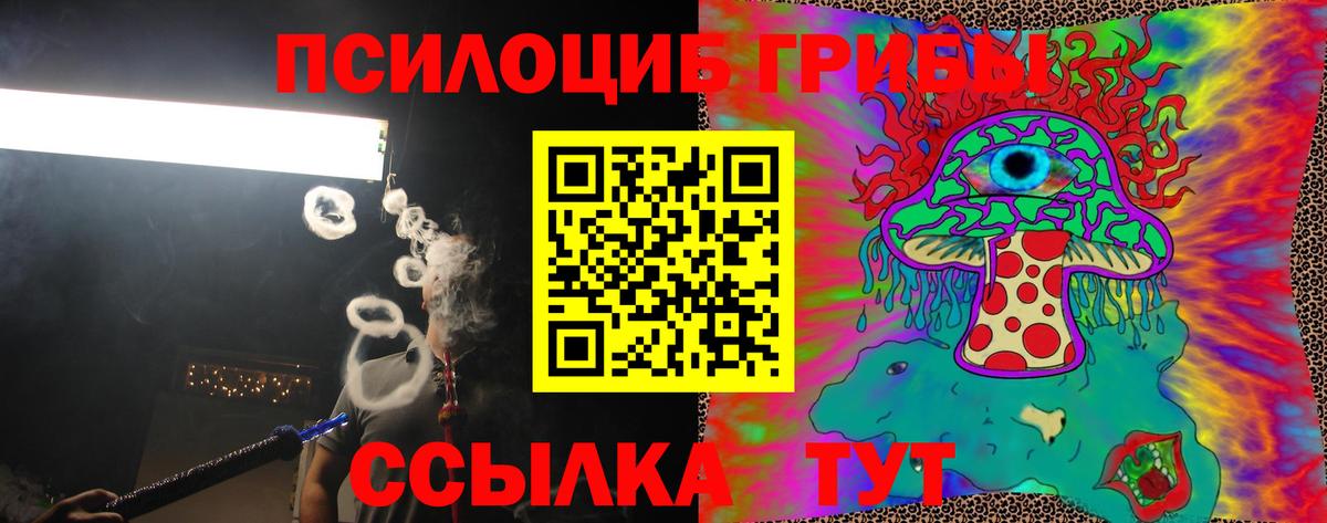 Псилоцибиновые грибы MAGIC MUSHROOMS Качканар